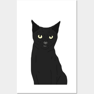 Black Cat Posters and Art